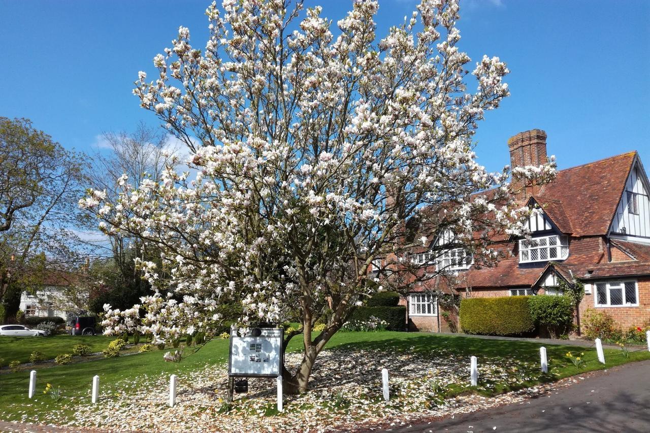 The Brickwall Hotel Sedlescombe Exterior foto