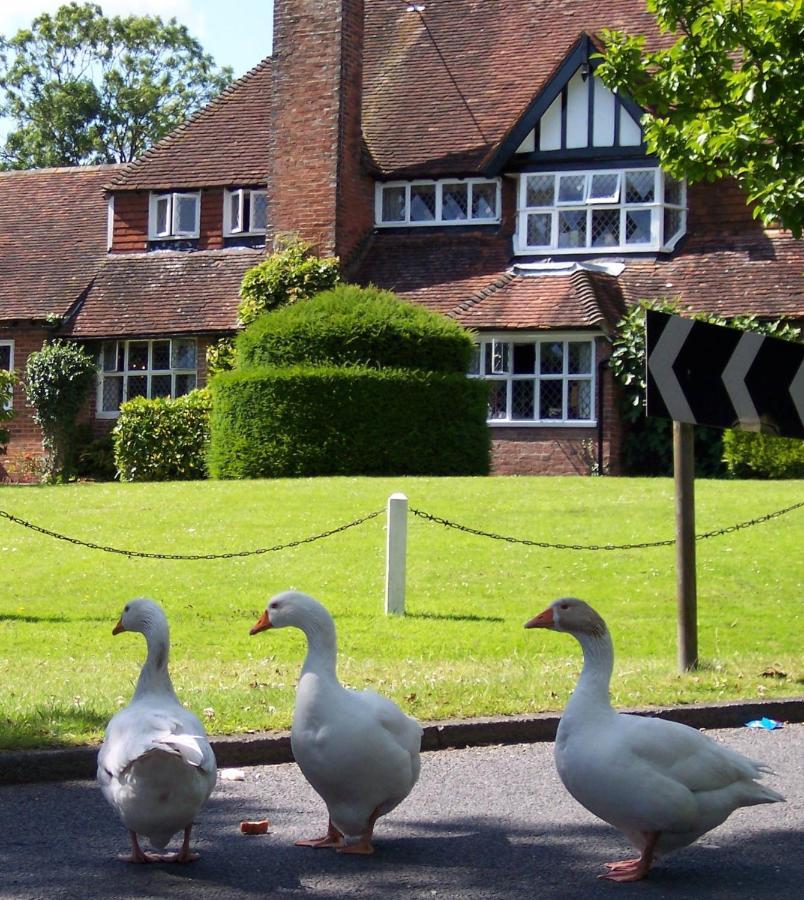 The Brickwall Hotel Sedlescombe Exterior foto
